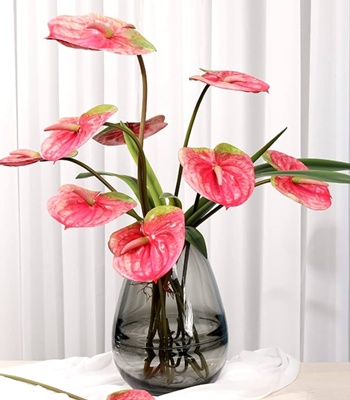 Pink Anthurium Flower Bouquet